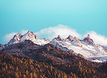 欧联杯4战4捷提前出线 枪手墙外开花佩佩外战救赎